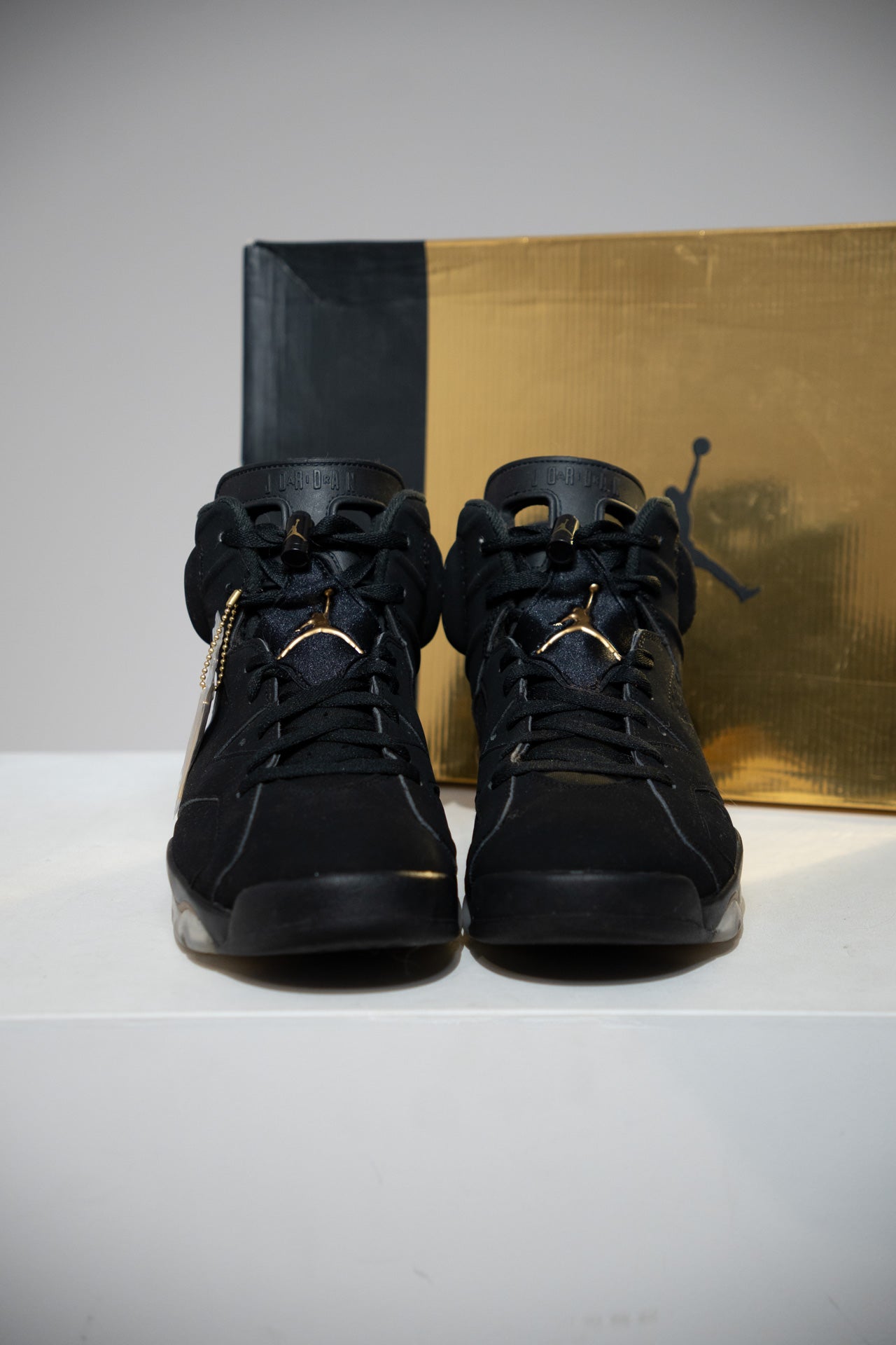 Jordan 6 DMP (Taille 45)