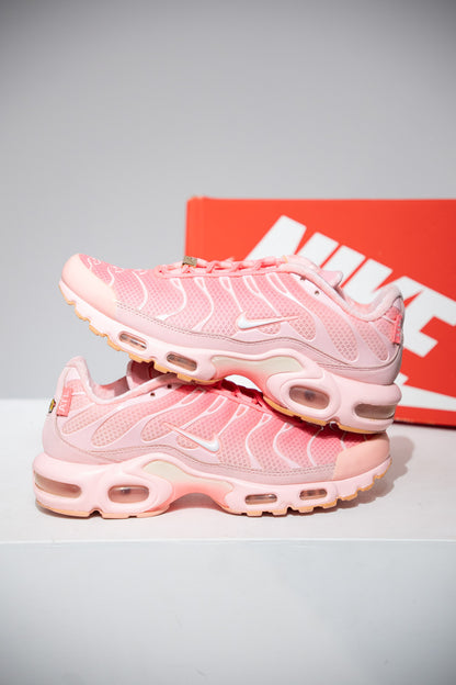 Air Max Plus (TN) Atlanta (Taille 40)