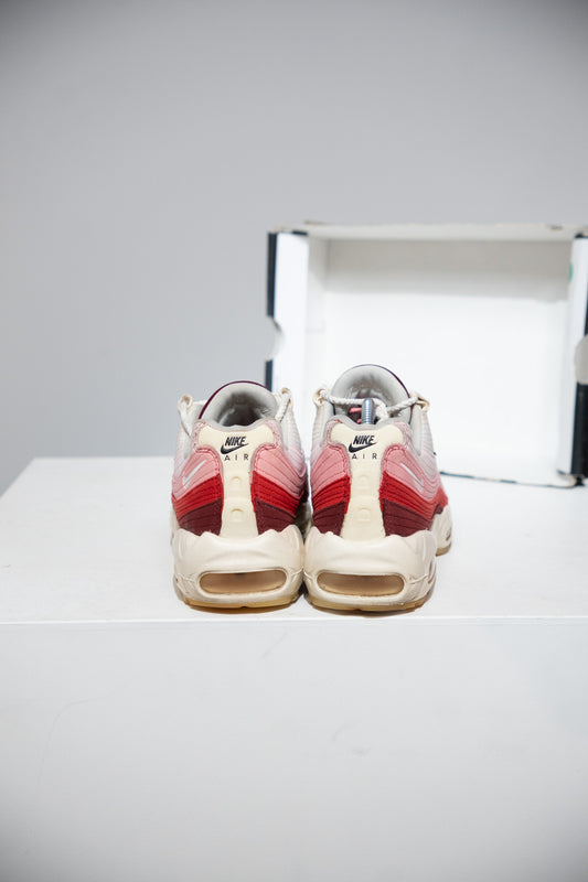 Air Max 95 Anatomy Of Air (Taille 40)