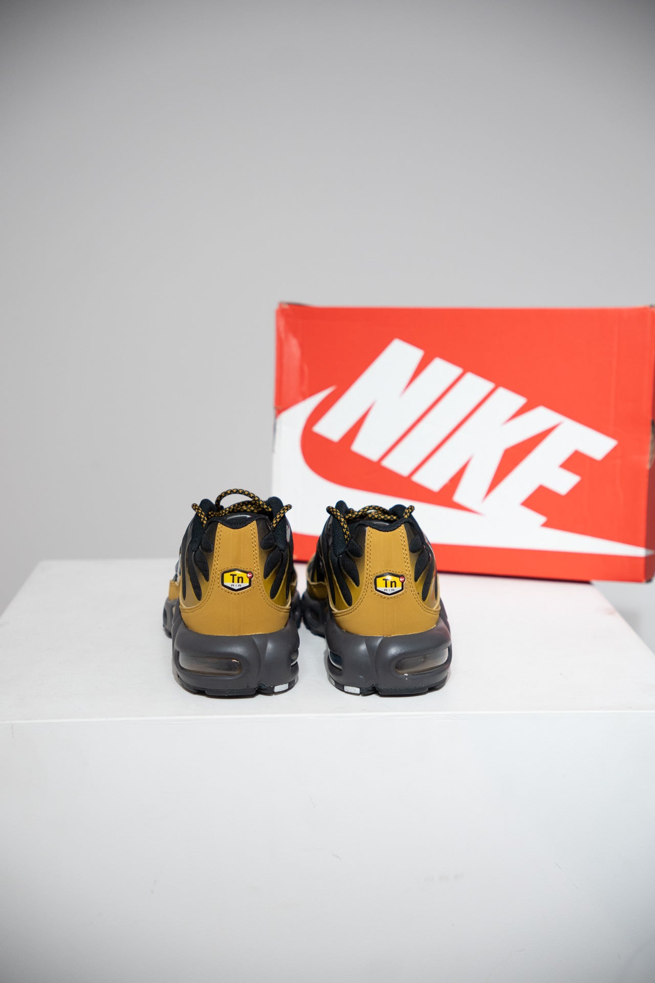 Air Max Plus (TN) Bronzine (Taille 43)