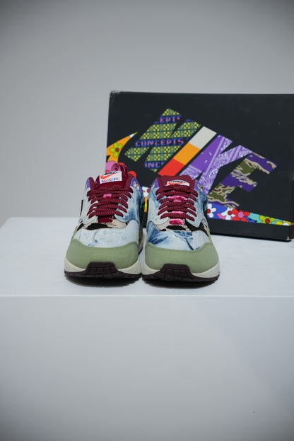 Air Max 1 Concept Mellow (Taille 41)