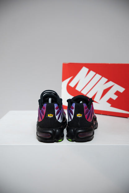 Air Max Plus (TN) FireBerry (Taille 41)