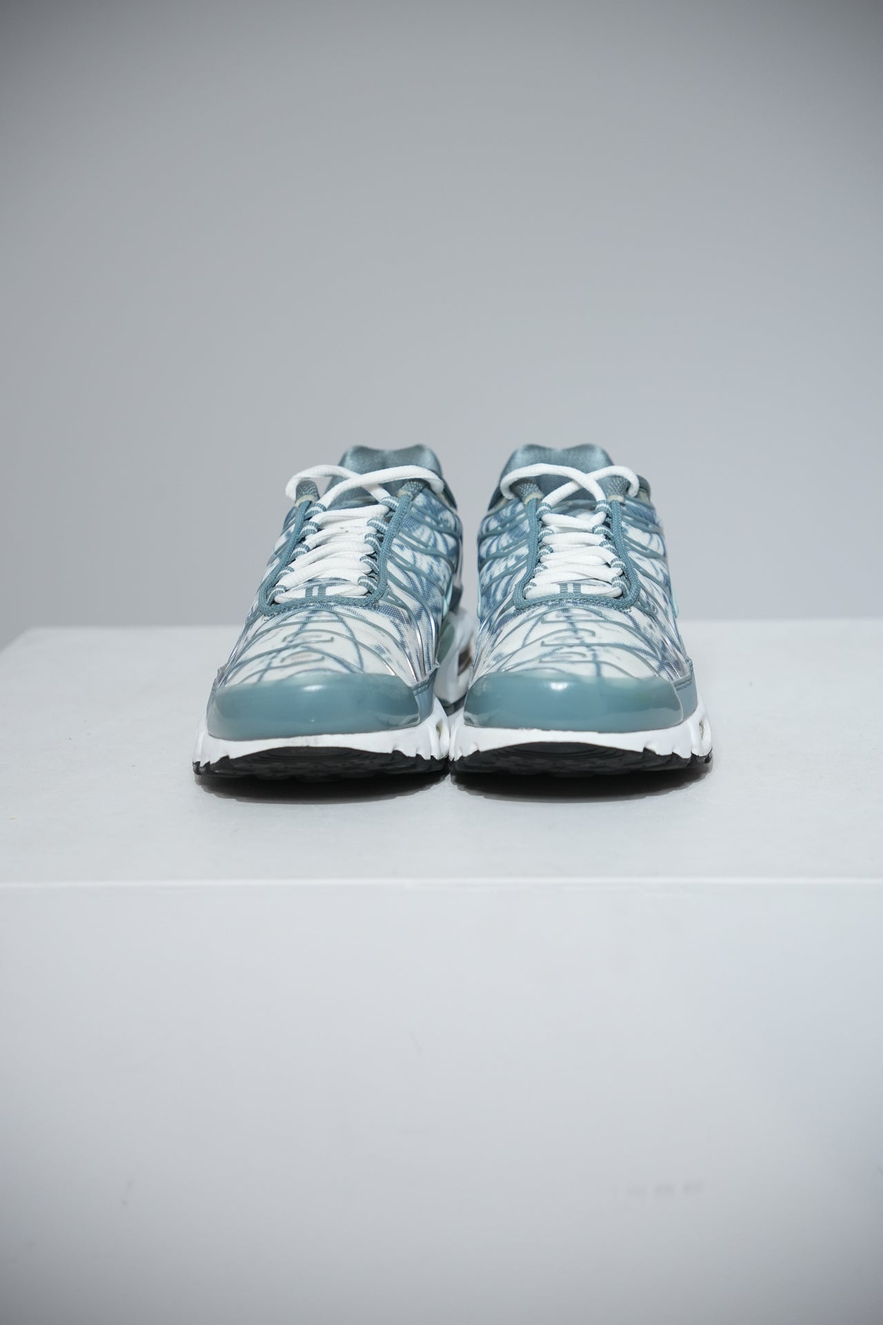 Air Max Plus (TN) Palm (Taille 41)