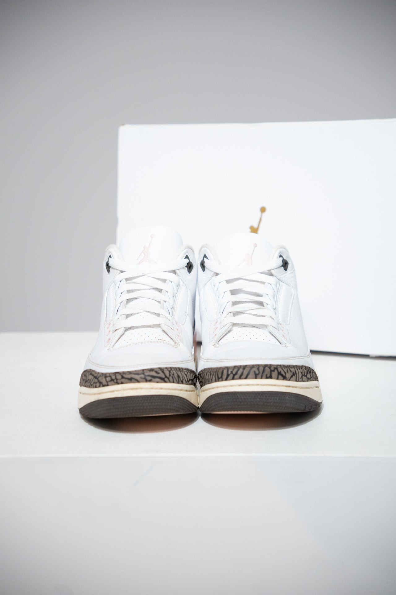 Jordan 3 Napolitan (Taille 43)