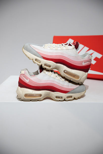 Air Max 95 Anatomy Of Air (Taille 38)